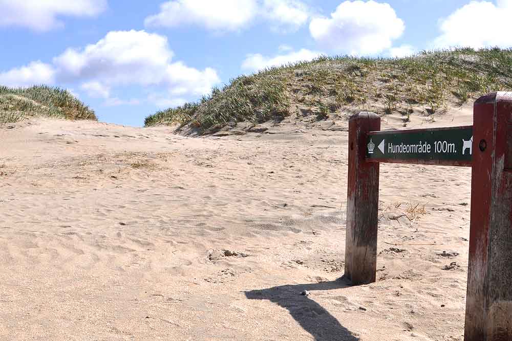 Urlaub auf mit Hund: Was gibt es zu beachten?