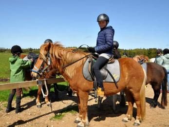 Auf das Pferd aufsitzen