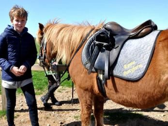 Pferd wird gesattelt