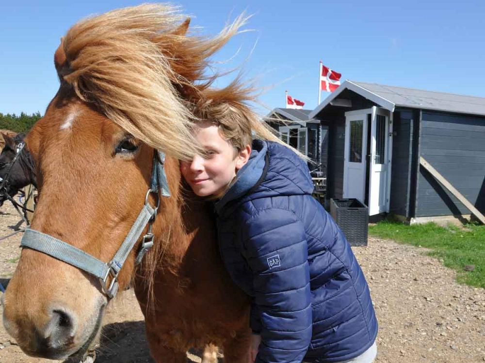 Isländer reiten auf Römö