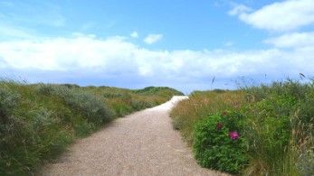 Wandern auf Fanö