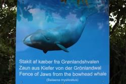 Walknochenzaun aus Kiefern des Grönlandwals
