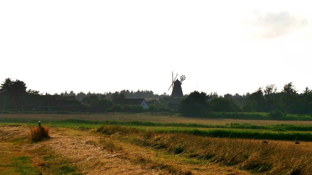 Windhmühle auf Fanö