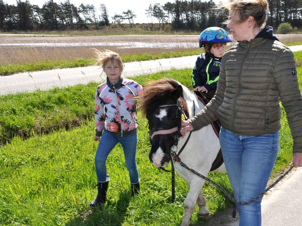 Römö Führpony Reiten auf Ponys